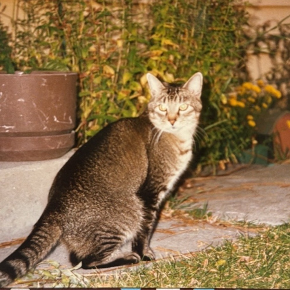 Meet your Posher, RASCAL - Picture 12 of 15